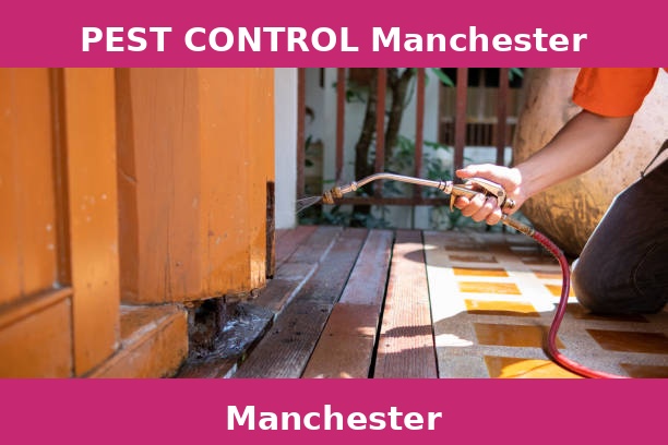 PEST CONTROL Manchester